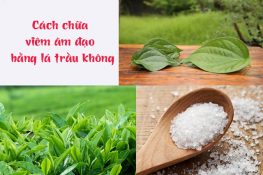 [Hướng dẫn chi tiết] Cách chữa viêm âm đạo bằng lá trầu không tại nhà