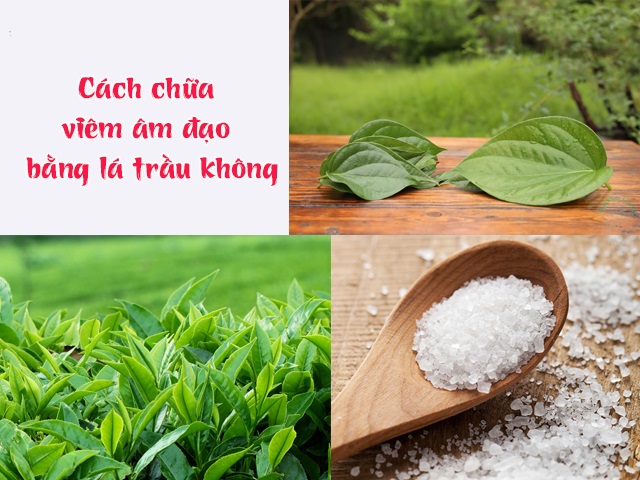 [Hướng dẫn chi tiết] Cách chữa viêm âm đạo bằng lá trầu không tại nhà